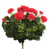 Vickerman FL170402 17.5" Artificial Red Polyester Geranium Bush