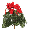 Vickerman FL170702 11" Artificial Red Polyester Cyclamen Bush