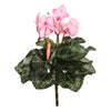 Vickerman FL170703 11" Artificial Polyester Light Pink Cyclamen Bush