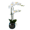 Vickerman FN180301 23" Artificial White Phalaenopsis In Metal Pot