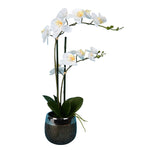 Vickerman FN180301 23" Artificial White Phalaenopsis In Metal Pot