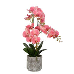 Vickerman FN180801 24" Artificial Pink Phalaenopsis In Cement Pot