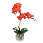 Vickerman FN190101 20.5" Artificial Potted Real Touch Orange Phalaenopsis Spray