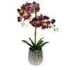 Vickerman FN190102 20.5" Artificial Potted Real Touch Purple Phalaenopsis Spray