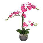 Vickerman FN190201 23.5" Artificial Potted Real Touch Mauve Phalaenopsis Spray