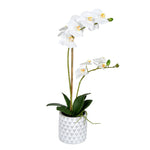 Vickerman FN190301 21" Artificial Potted Real Touch White Phalaenopsis Spray