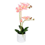 Vickerman FN190302 21" Artificial Potted Real Touch Pink Phalaenopsis Spray