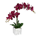 Vickerman FN190401 25" Artificial Potted Real Touch Dark Purple Phalaenopsis Spray