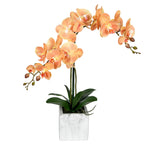 Vickerman FN190402 25" Artificial Potted Real Touch Coral Phalaenopsis Spray