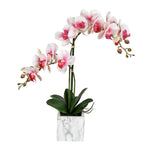 Vickerman FN190403 25" Artificial Potted Real Touch Pink & White Phalaenopsis Spray
