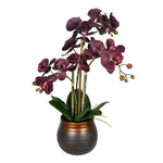 Vickerman FN190501 22" Artificial Potted Real Touch Purple Phalaenopsis Spray