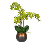 Vickerman FN190502 22" Artificial Potted Real Touch Green Phalaenopsis Spray