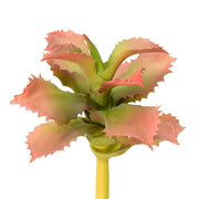 Vickerman FO180101 5