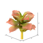 Vickerman FO180101 5