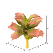 Vickerman FO180101 5