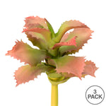 Vickerman FO180101 5