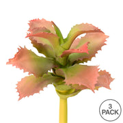 Vickerman FO180101 5