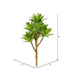 Vickerman FO181201 8