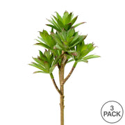 Vickerman FO181201 8