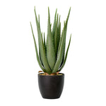 Vickerman FO182201 27.5" Artificial Green Potted Aloe Vera