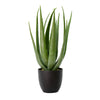 Vickerman FO182301 25" Artificial Green Potted Aloe Vera