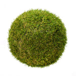 Vickerman FO182603 10.25" Artificial Green Grass Ball