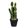 Vickerman FO190114 14" Artificial Green Potted Cactus
