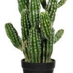 Vickerman FO190131 31