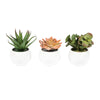 Vickerman FO190501 5" Artificial Assorted Potted Succulents