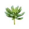 Vickerman FO191504 4" Artificial Assorted Succulent Picks, Set of 4