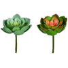 Vickerman FO195506 6" Artificial Assorted Succulent Picks, Pack of 2