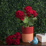 Vickerman FQ173101-4 18