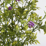 Vickerman FQ180402 17