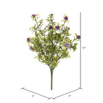 Vickerman FQ180402 17
