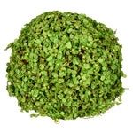 Vickerman FS190920 8" Artificial Green Mini Leaves Ball