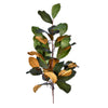 Vickerman FT190132 30" Artificial Green Magnolia Swag