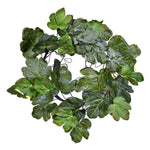 Vickerman FT190624 24" Artificial Green Fig Leaf Wreath