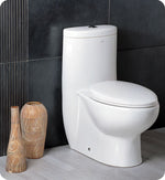 Fresca 2309 Delphinus One-Piece Dual Flush Toilet w/ Soft Close Seat