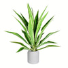 Vickerman FU190134 34" Artificial Potted Green Yucca Plant