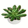 Vickerman FU190710 10" Artificial Potted Green Succulent