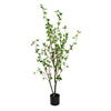 Vickerman FU191560 48" Artificial Potted Baby Leaf Tree in Black Planters Pot