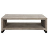 Uttermost 25285 Bosk White Washed Coffee Table