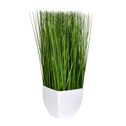 Vickerman FV190216 16.5