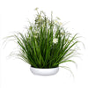 Vickerman FV190425 25" Artificial Potted Cream Cosmos & Green Grass in White Plastic Pot