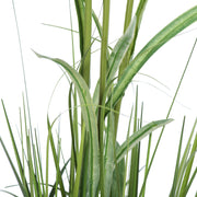 Vickerman FV190532 32