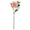 Vickerman FV190862 17" Artificial Peach Dahlia Spray, 6 per Bag