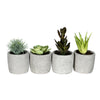 Vickerman FV192246 6" Artificial Assorted Potted Succulents, Set of 4