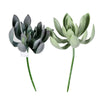 Vickerman FV192508 8" Artificial Green Echeveria Spray, Set of 4