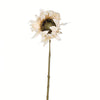 Vickerman FV194522 24" Artificial Ivory Sunflower Stem, Set of 4