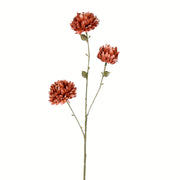 Vickerman FV194601 24